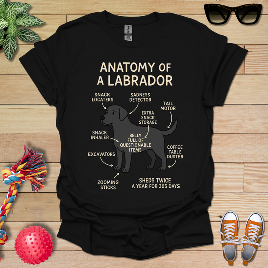 Anatomy of a Labrador T-Shirt