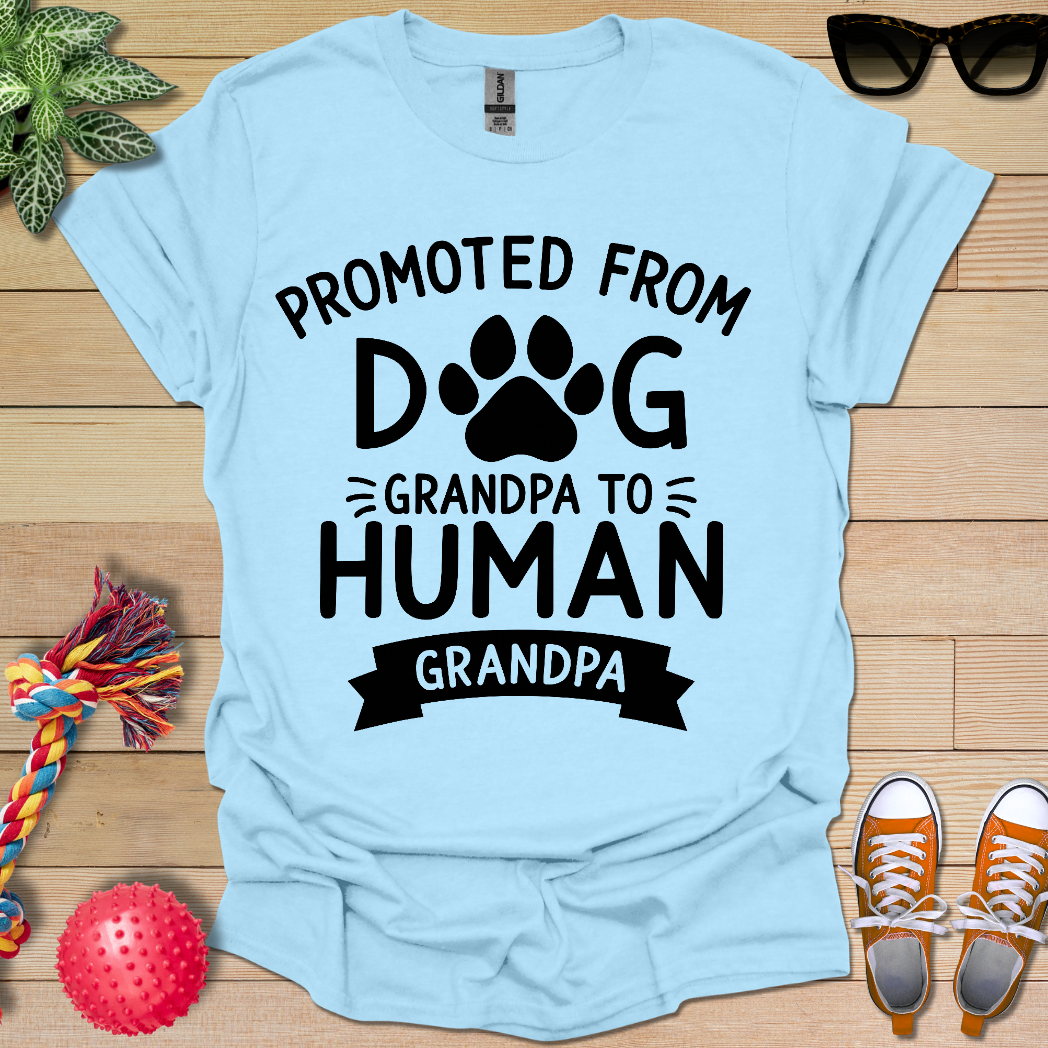 Fancy Promotion  T-Shirt