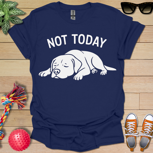 Not in the Moods  T-Shirt