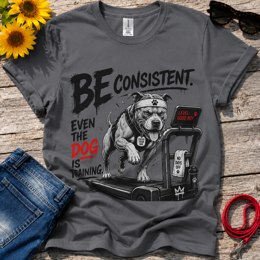 Consistency Pays T-Shirt