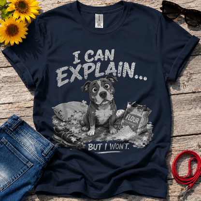 Let Me Explain T-Shirt