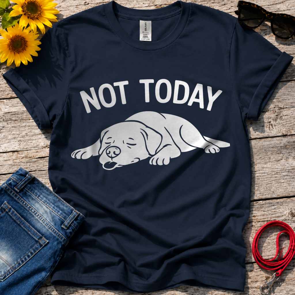 Not in the Moods  T-Shirt