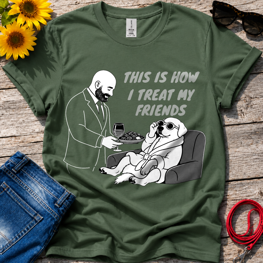 How i Treat my Friends T-Shirt