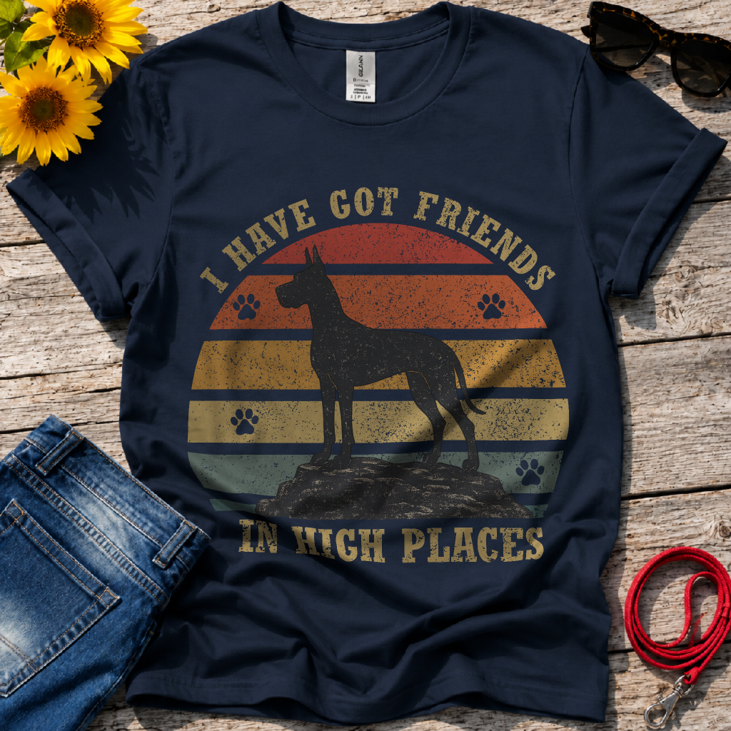 Friends in High Places T-Shirt