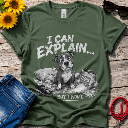 Let Me Explain T-Shirt