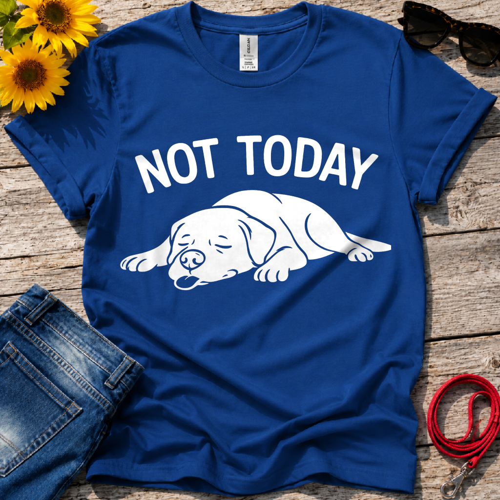 Not in the Moods  T-Shirt