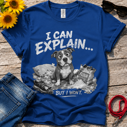Let Me Explain T-Shirt