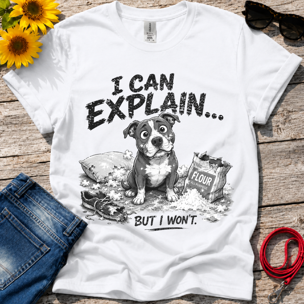 Let Me Explain T-Shirt