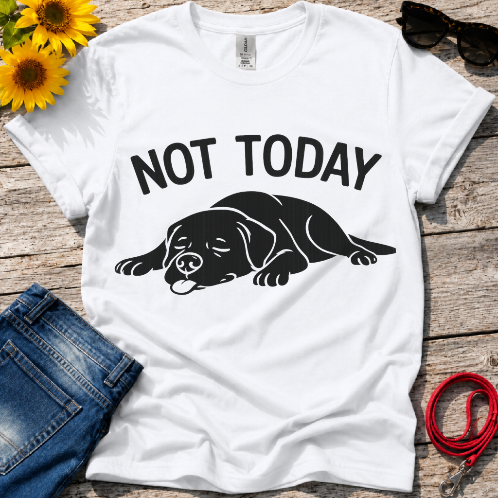 Not in the Moods  T-Shirt
