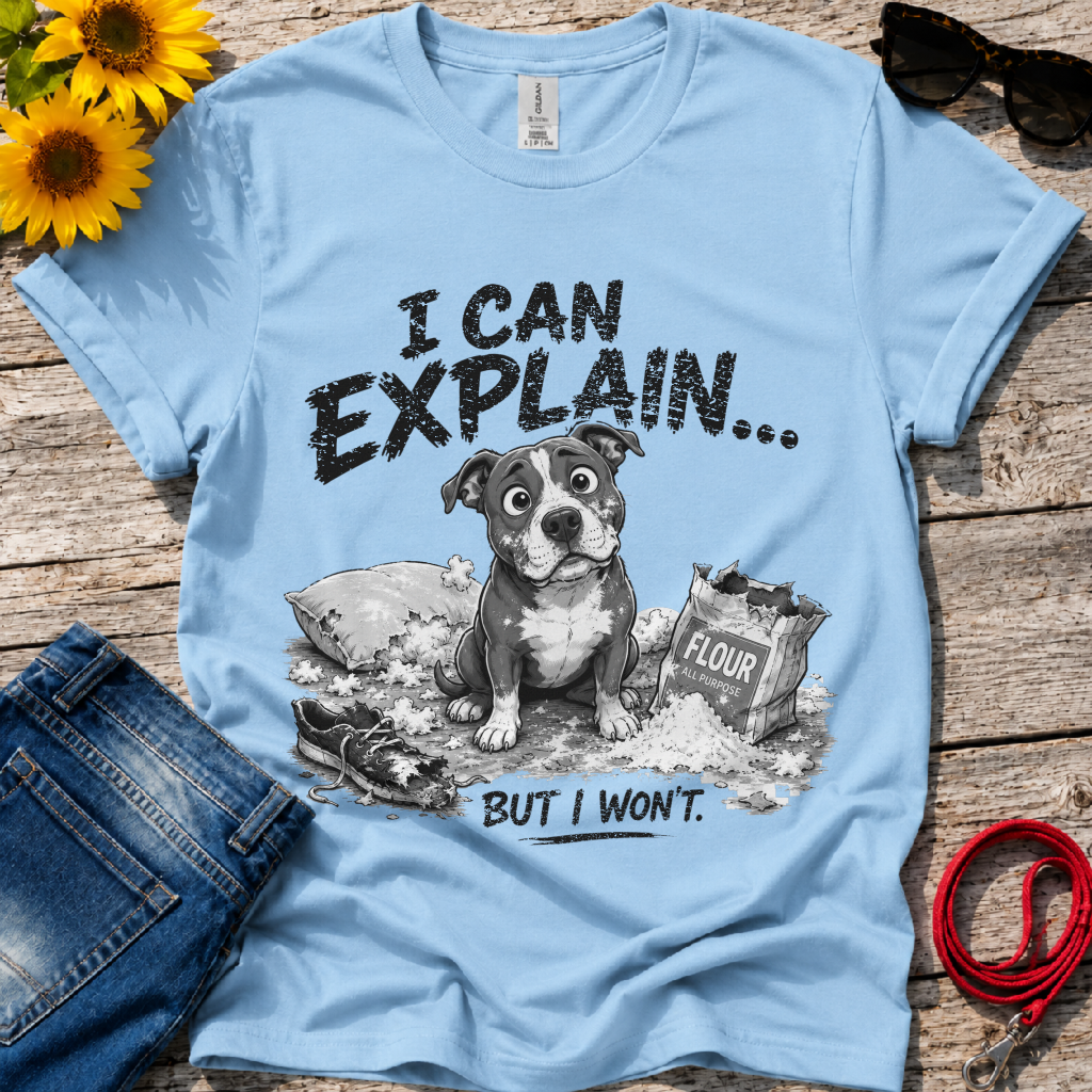 Let Me Explain T-Shirt