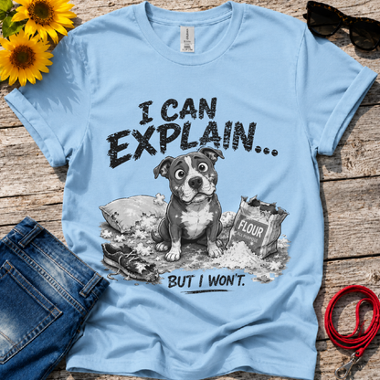 Let Me Explain T-Shirt