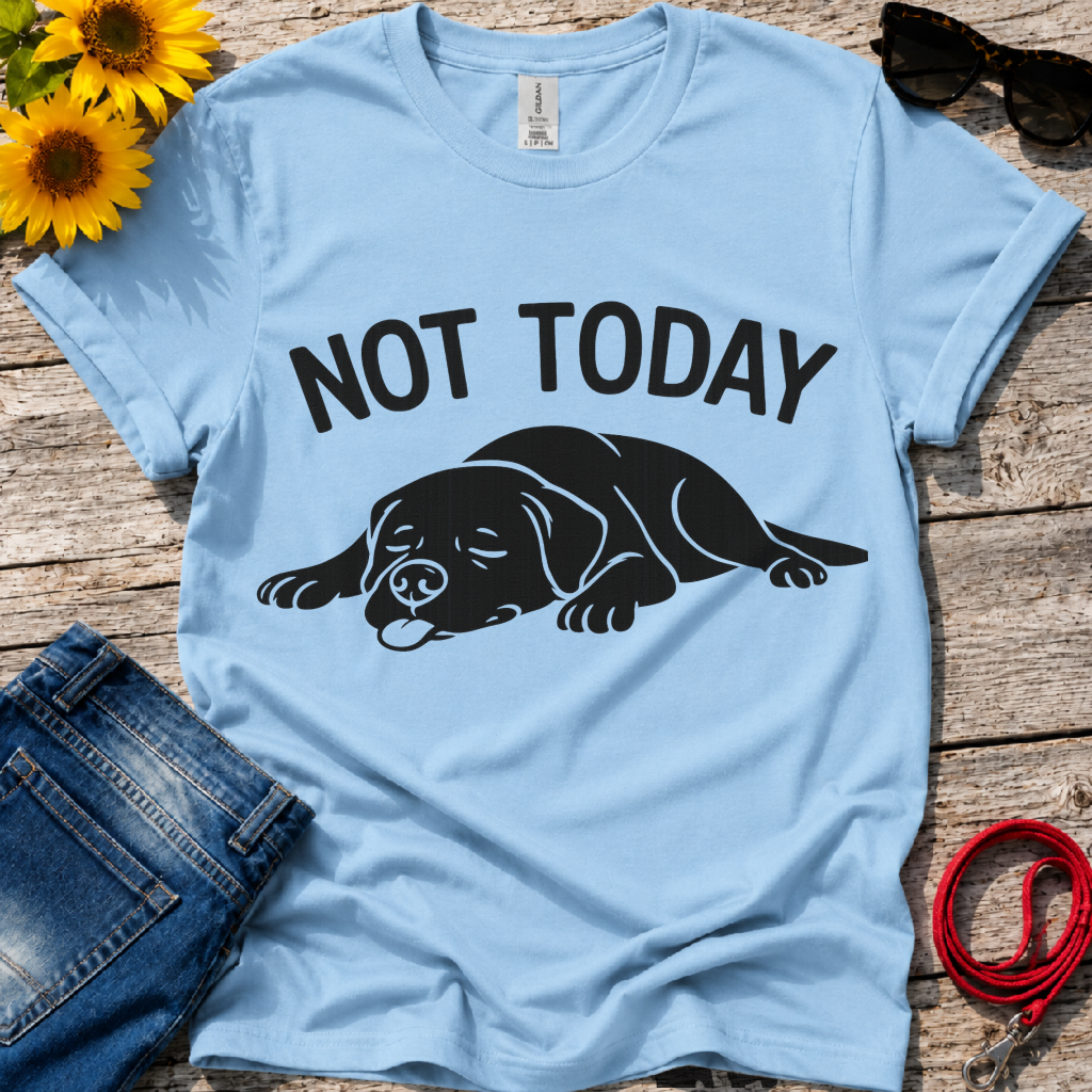 Not in the Moods  T-Shirt