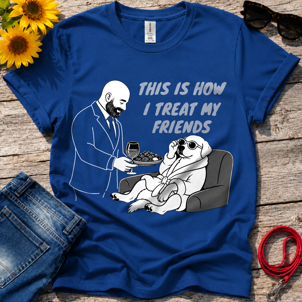 How i Treat my Friends T-Shirt