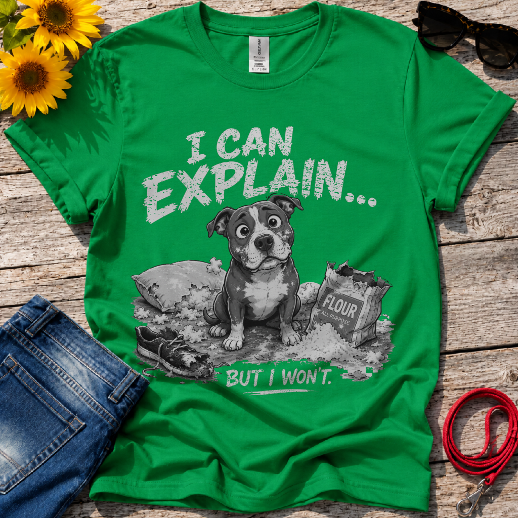 Let Me Explain T-Shirt