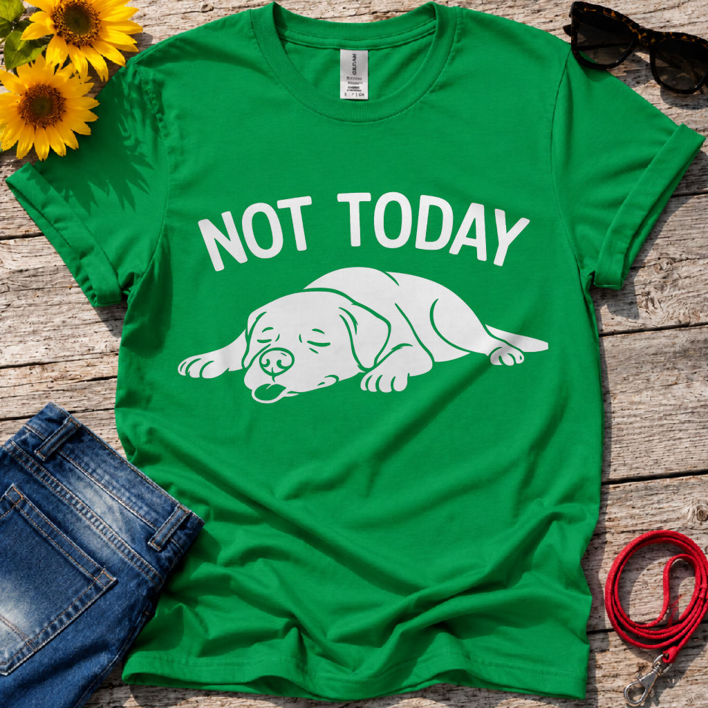 Not in the Moods  T-Shirt