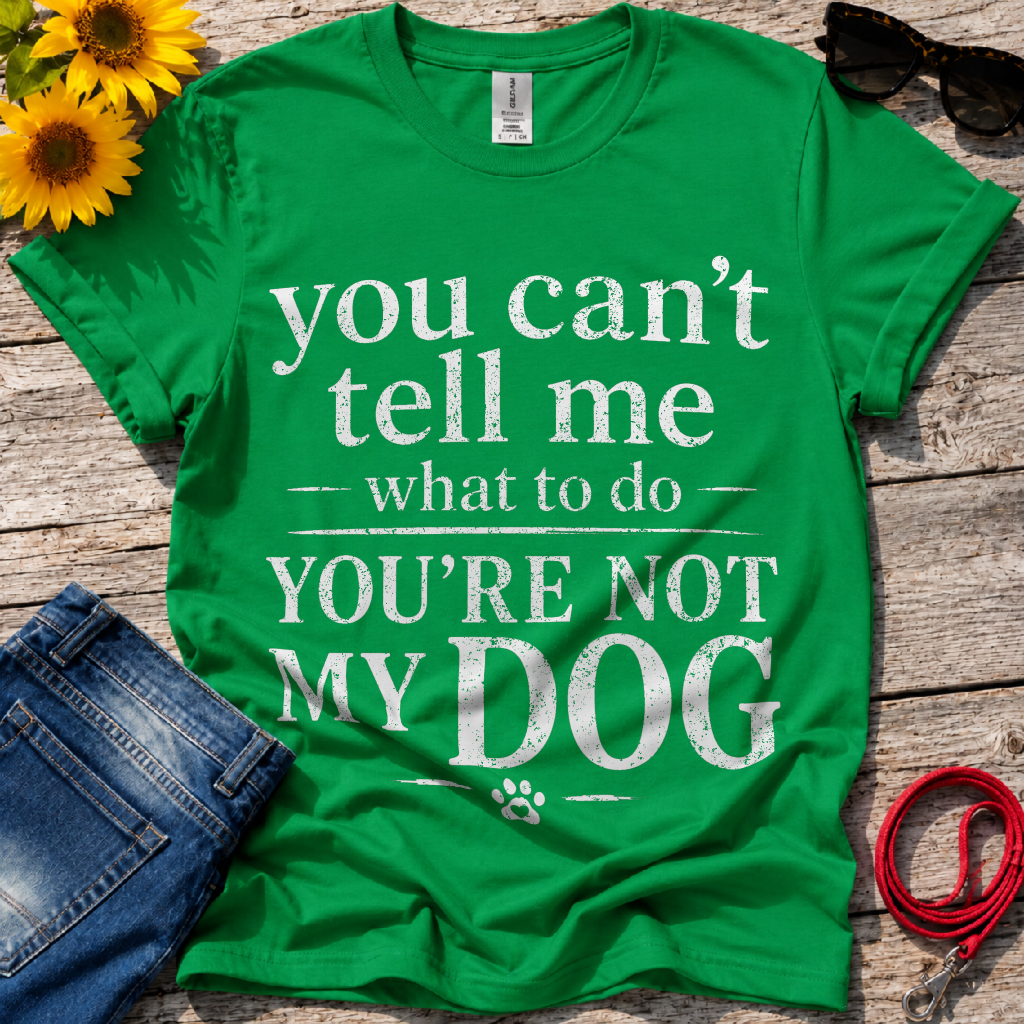 No right Whatsoever T-Shirt