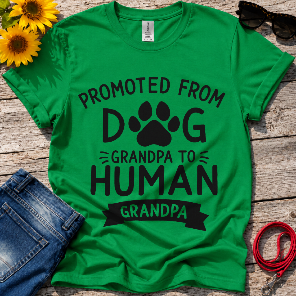 Fancy Promotion  T-Shirt