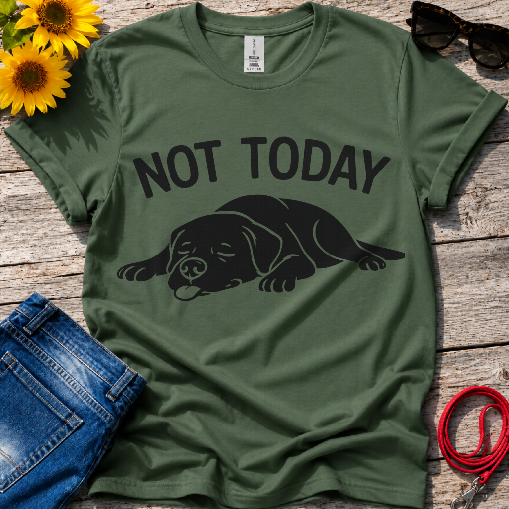 Not in the Moods  T-Shirt