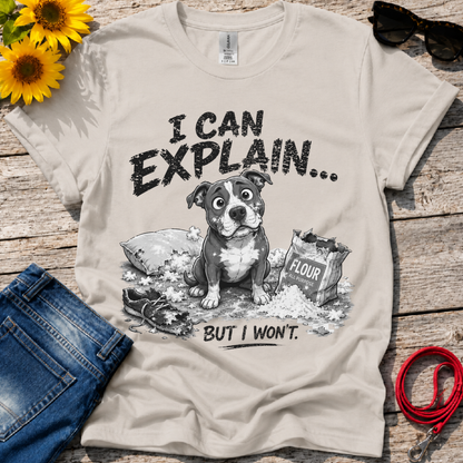 Let Me Explain T-Shirt