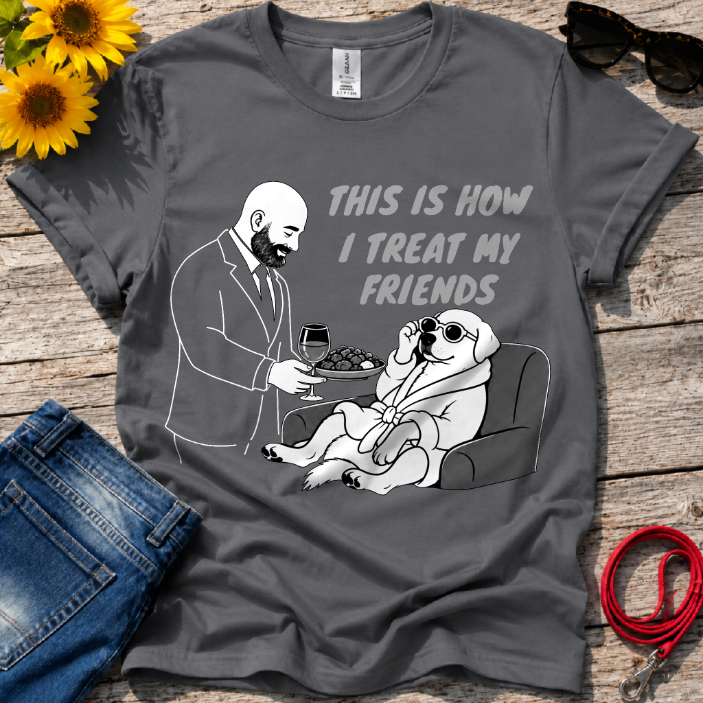 How i Treat my Friends T-Shirt