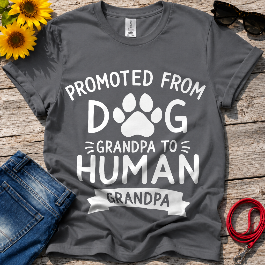 Fancy Promotion  T-Shirt