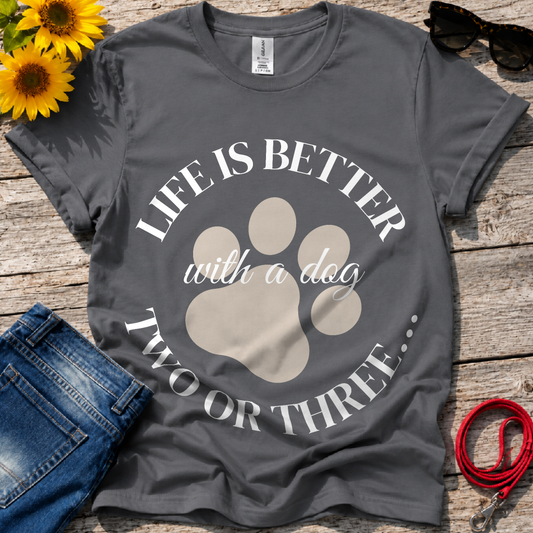 Seek a Better Life  T-Shirt