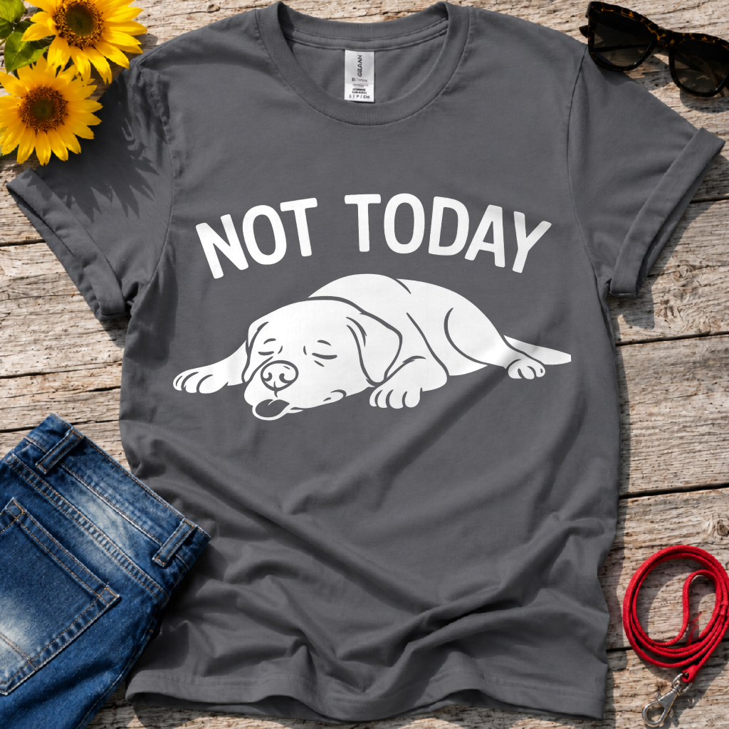 Not in the Moods  T-Shirt