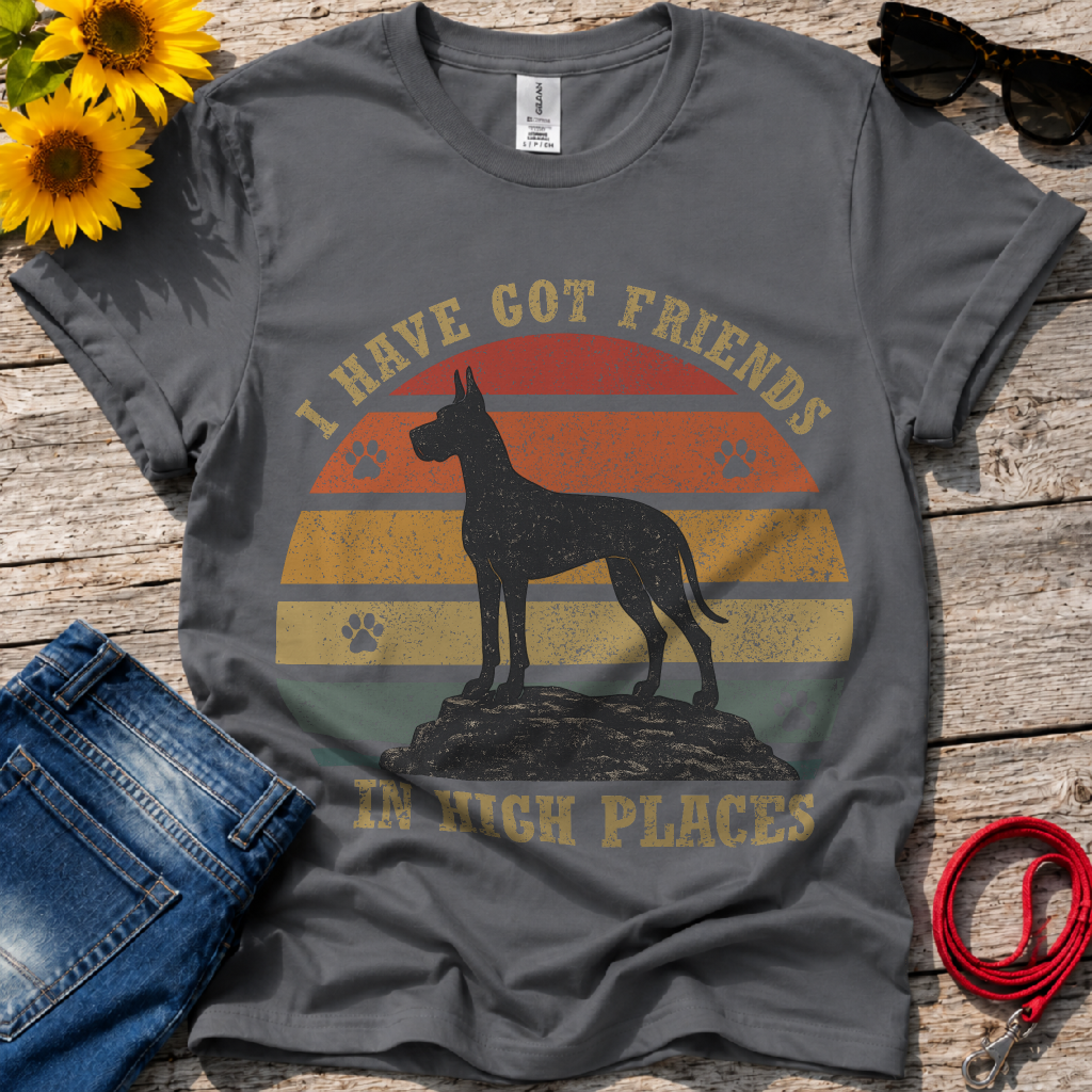 Friends in High Places T-Shirt