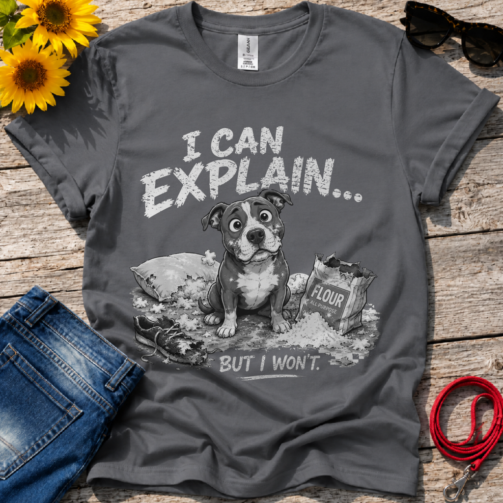 Let Me Explain T-Shirt
