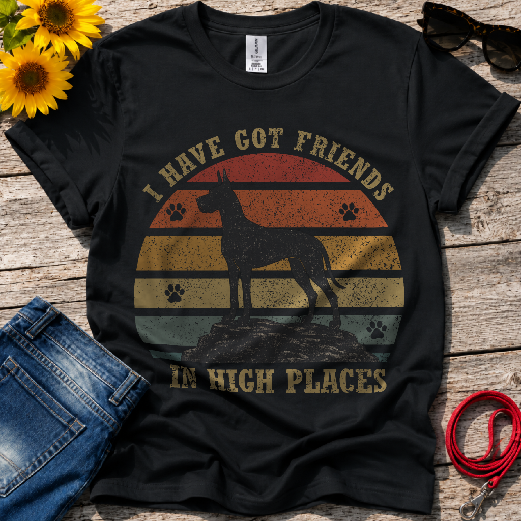 Friends in High Places T-Shirt