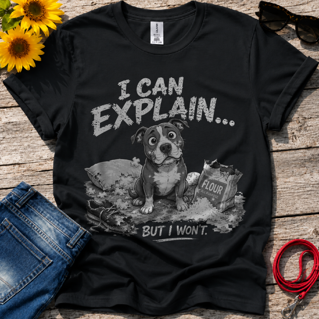 Let Me Explain T-Shirt