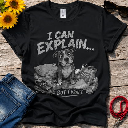 Let Me Explain T-Shirt