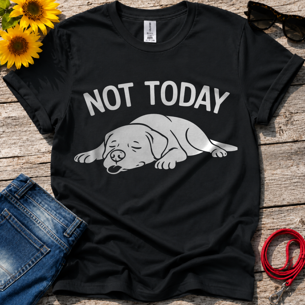 Not in the Moods  T-Shirt