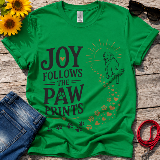 Accompany It T-Shirt