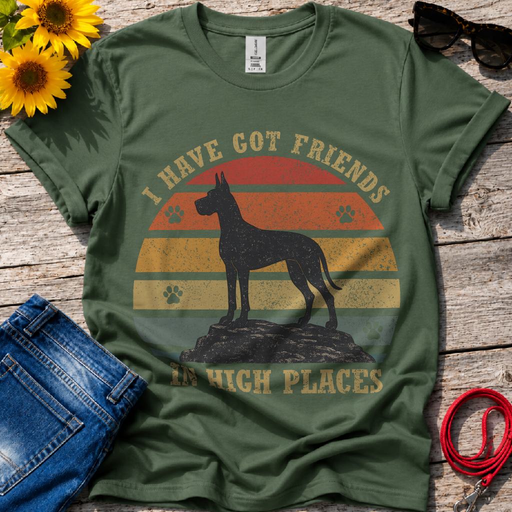 Friends in High Places T-Shirt